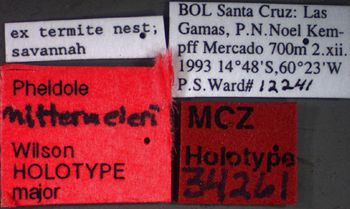 Media type: image;   Entomology 34261 Aspect: labels